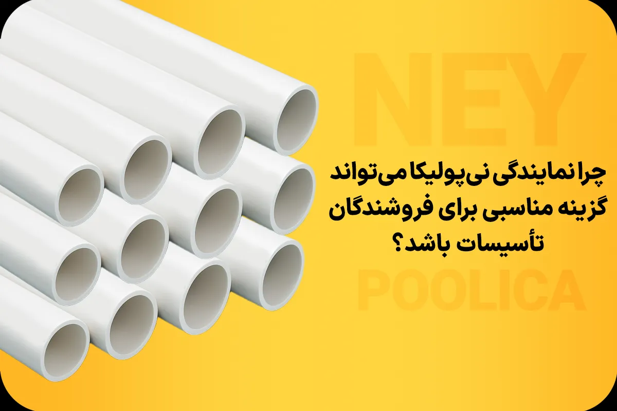 نمایندگی نیپولیکا